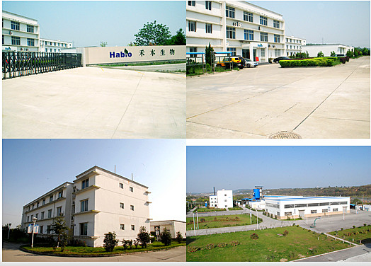 20000U Polvere di alfa-amilasi bianca Cas 9000 90 2 Per premix 10