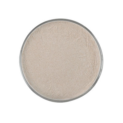 Alfa-amilasi 10000 u/G-200000 u/G Polvere