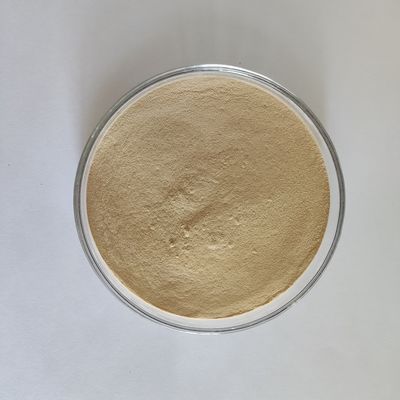 Habio Protease BP100 100,000U/g Polvere/Proteasi intera dell'alimentazione intestinale del granello