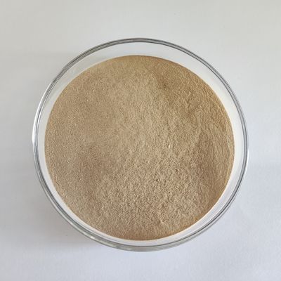 Enzima proteolitico neutrale ad alta efficienza 100.000U/g