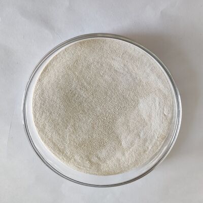 Fornitura di fabbrica di polvere liquida di alfa-amilasi termostabile per mangimi