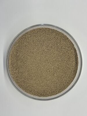 Enzima proteasi alimentare ad alta stabilità BP100 per una migliore utilizzazione delle proteine e digeribilità degli amminoacidi (100.000 U/g)