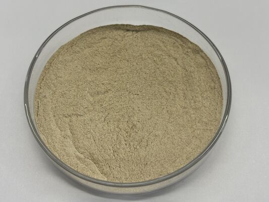 Proteasi alimentare avanzata per un migliore utilizzo delle proteine e un costo alimentare ridotto CAS n. 9014-01-1