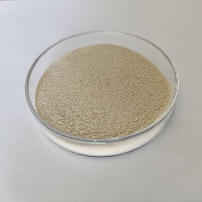 Habio Acid Protease Powder 300.000U/g Enzima proteolitico acido ad alta efficienza