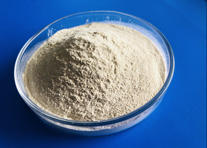 Enzima industriale Cas 9025 57 della proteasi del grado dell'OEM liquido del granello di 4 polveri