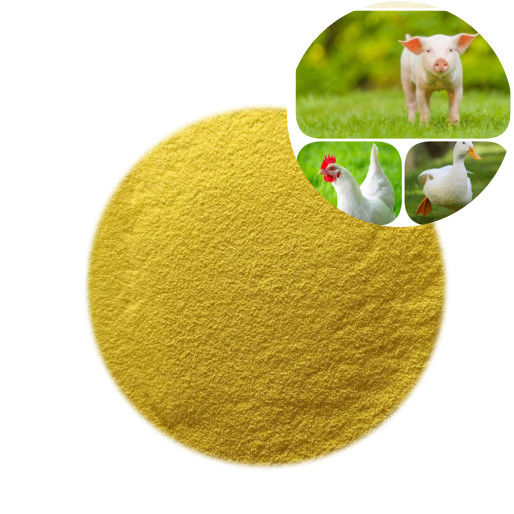 Poultry Nutrition GOD Glucosio ossidasi Enzimi Additivi per mangimi in polvere