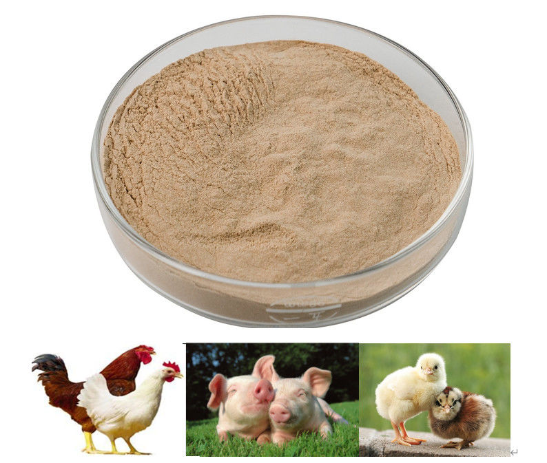 bestiame e pollame degli enzimi della proteasi del grado dell'alimentazione del granello della polvere 5000u/G-400000u/G