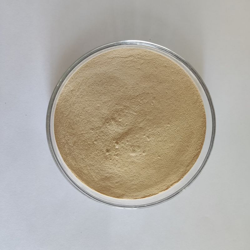 Habio Protease BP100 100,000U/g Polvere/Proteasi intera dell'alimentazione intestinale del granello