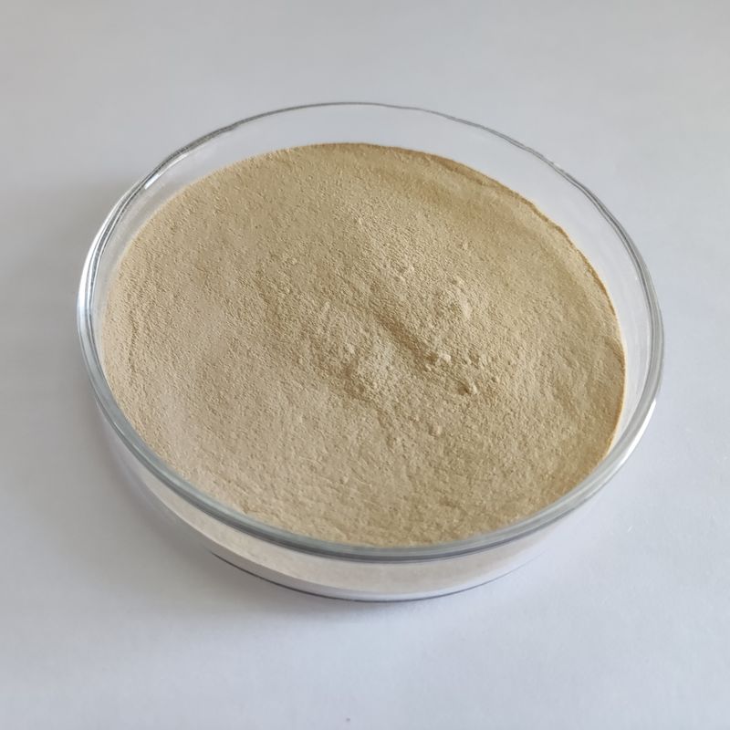 Habio Protease BP100 100,000U/g Polvere/Proteasi intera dell'alimentazione intestinale del granello
