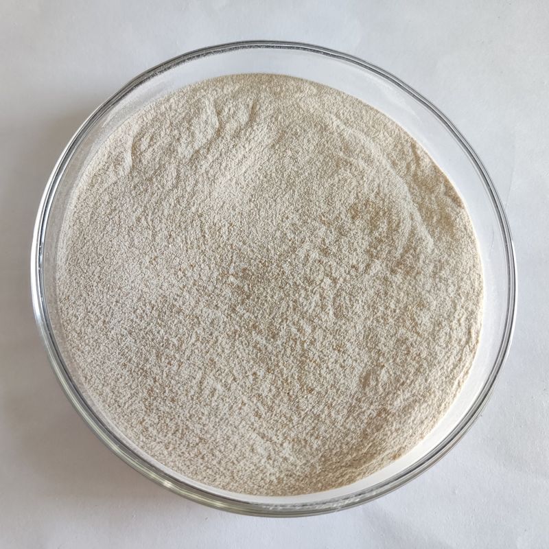 Enzima Lipasi in polvere 50.000-200.000 Fermentazione microbica Enzima Lipasi