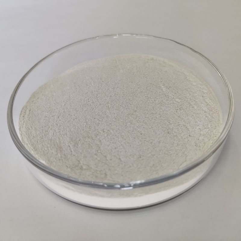 Enzima di scissione peptidica di grado alimentare di proteasi habio con elevata stabilità