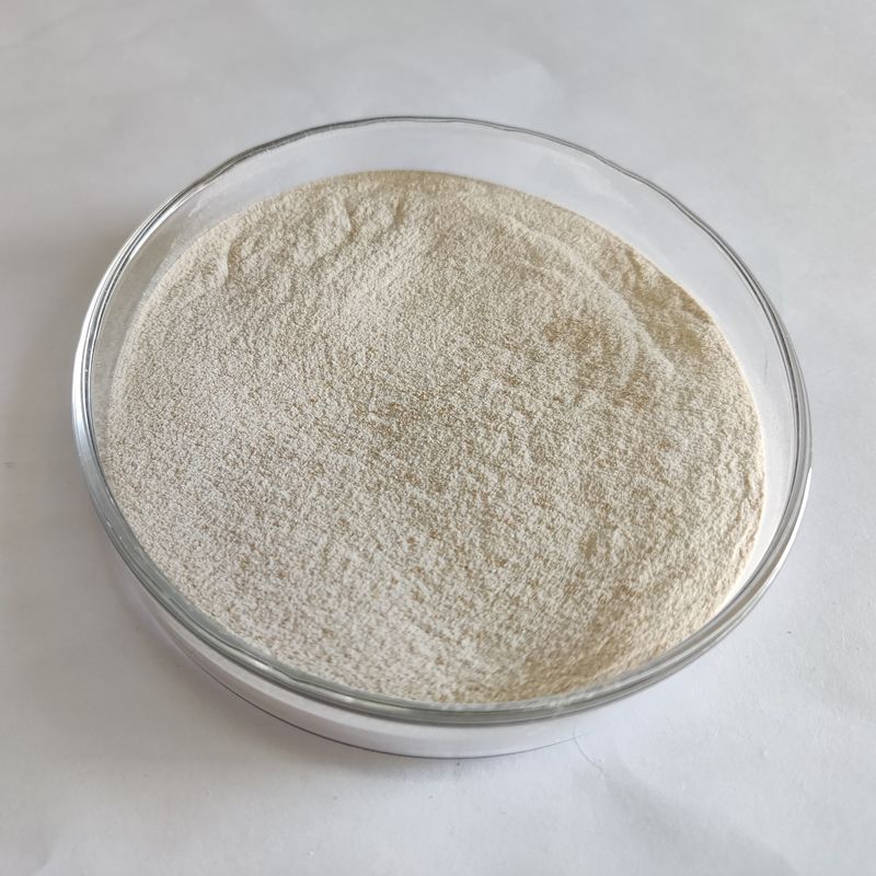 Enzima Lipasi in polvere 50.000-200.000 Fermentazione microbica Enzima Lipasi