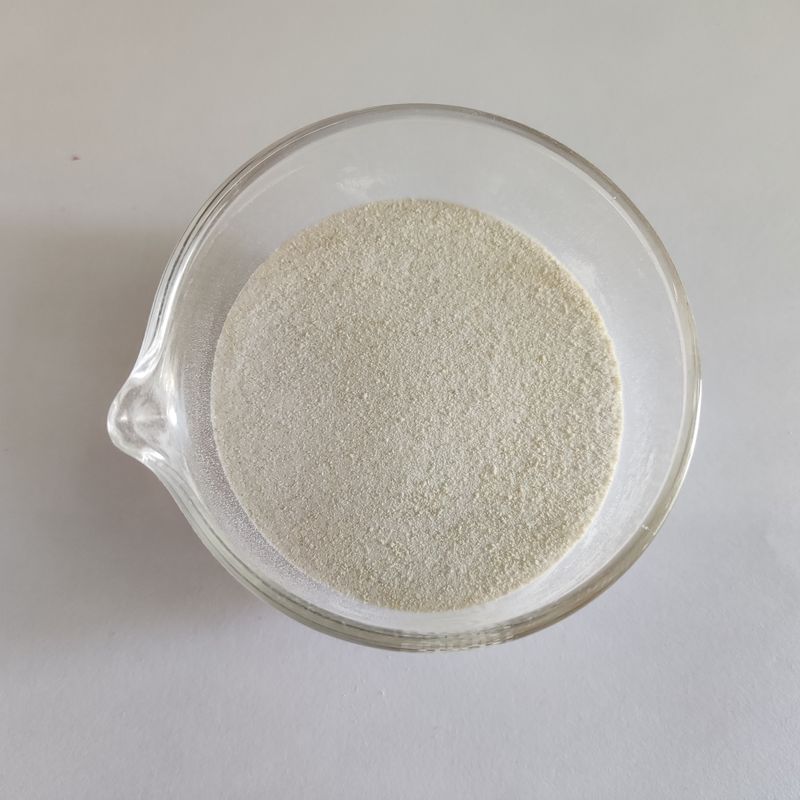 Advanced Habio Keratinase per la degradazione delle proteine della cheratina e la trasformazione delle farine di piume