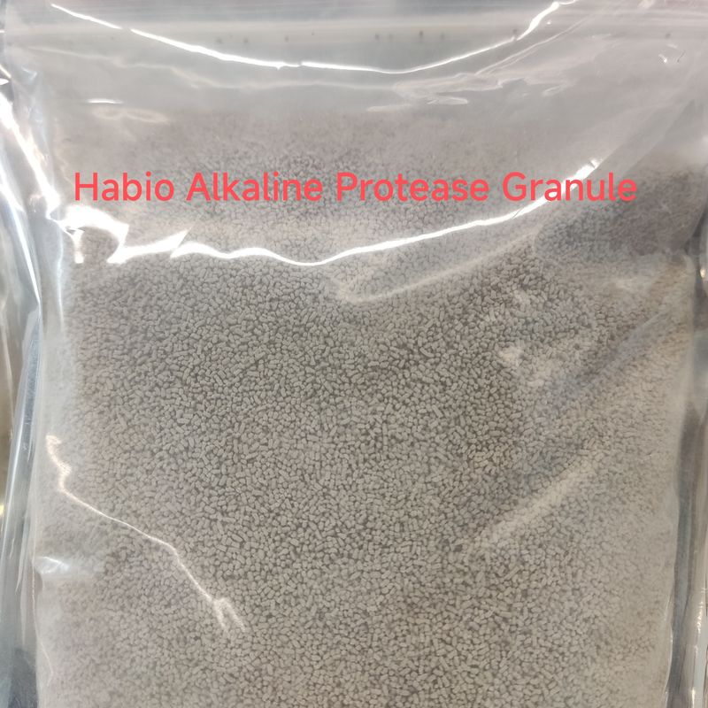Proteasi alcalina di grado alimentare ad alta stabilità per l'idrolisi proteica e il rilascio di aminoacidi