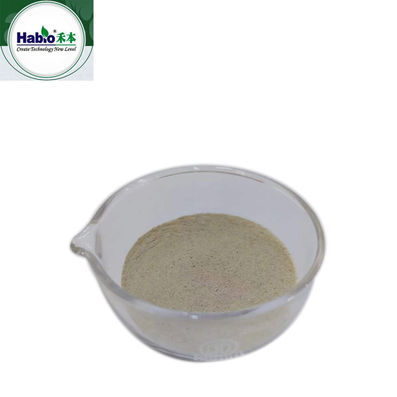 Additivo per mangimi acido proteasi in polvere 100.000U/g