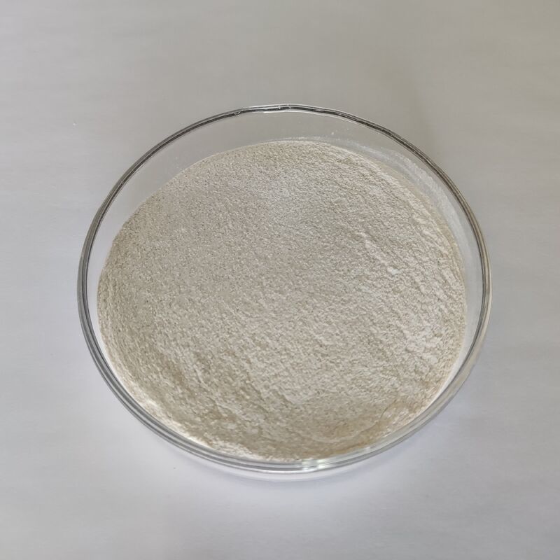 Proteasi Alcalina per Mangimi in Polvere 1.000.000 U/g con Elevata Efficienza di Degradazione Proteica e Proprietà Enzimatiche Stabili
