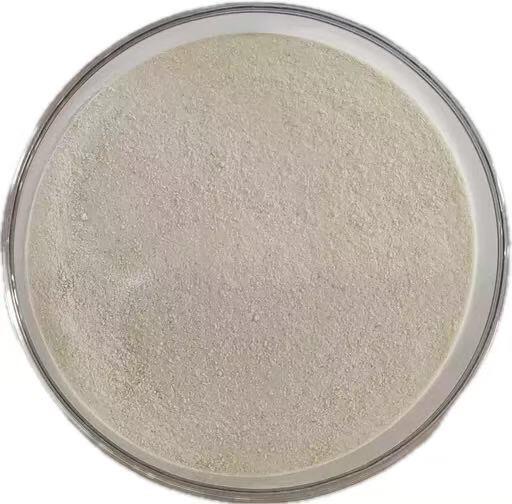 Keratinasi per alimenti per animali per l'utilizzo alternativo di proteine e riduzione dei costi di mangime.