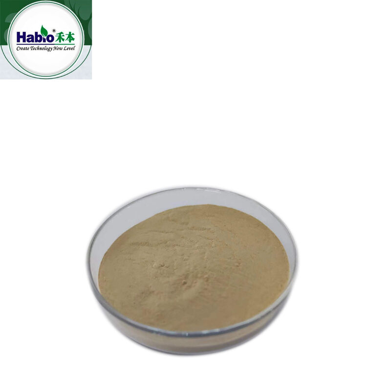 Enzima proteasi in polvere e granula
