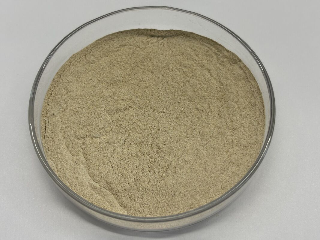 Proteasi alimentare avanzata per un migliore utilizzo delle proteine e un costo alimentare ridotto CAS n. 9014-01-1