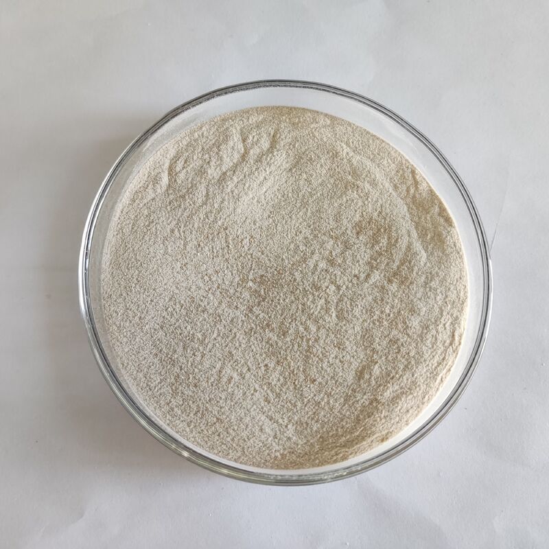 Enzima lipasi di grado alimentare di fabbrica 300.000U/g Polvere per mangimi per animali Additivo di premix di mangimi