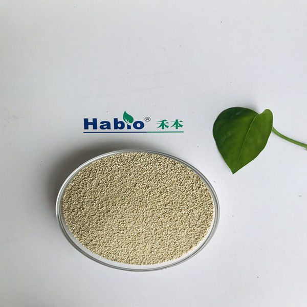 Nutrizione della lipasi enzimatica habio Migliora l'assorbimento e l'utilizzo del biodiesel