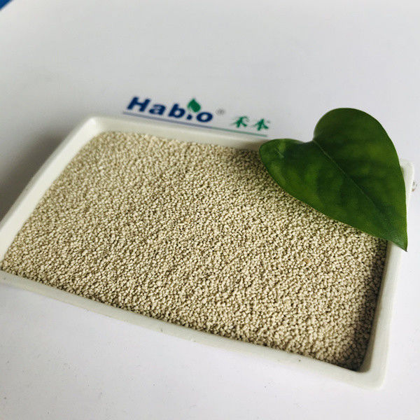 Granula di Habio Lipase Grado di mangime enzimatico 20.000 u per animali Animali Effetto sinergico sulla lipasi endogena