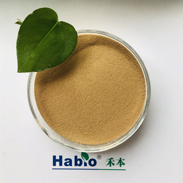 Proteasi alcalina 25kg/Bag di Habio ad alta attività per industria del cuoio