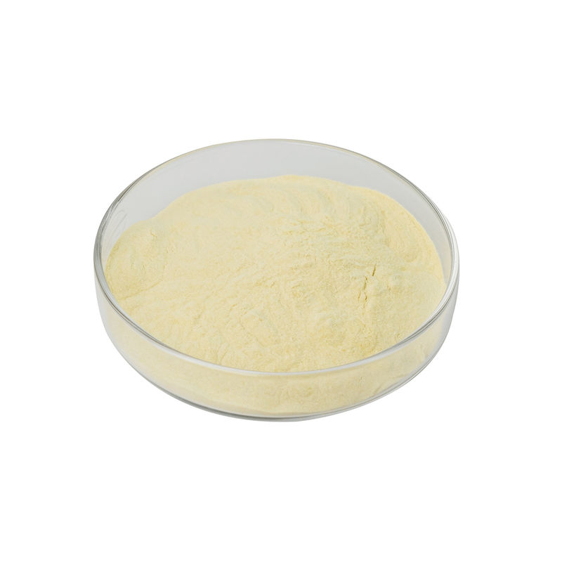 Cellulasi fungosa ISO9001